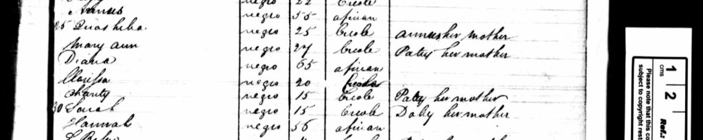 detail of 19th century registry of enslaved peoplein cursive script with ruler showing about 5 cms for scale  second name down on the list is Quasheba, negro, 25, Creole, Arnus her mother